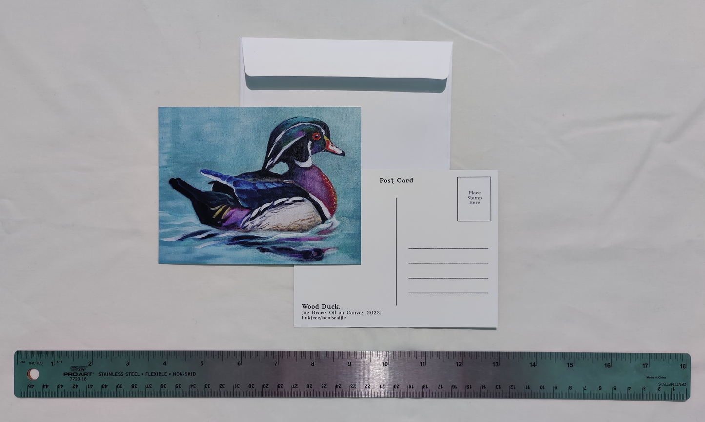 Wood Duck 4.25x5.5" Postcard Prints